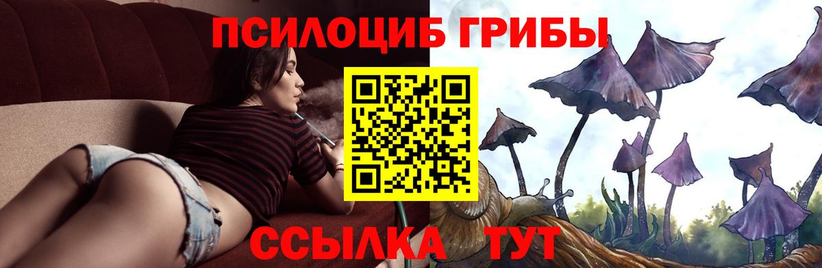 Псилоцибиновые грибы мухоморы Борисоглебск